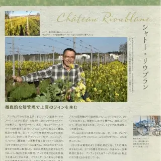 article wine kingdom japon