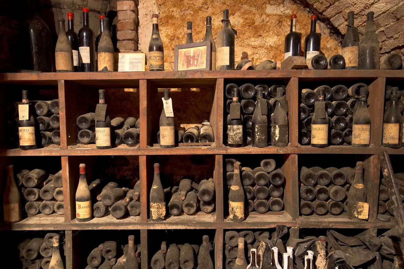 Qu'est ce qu'une cave à vin de vieillissement ? 