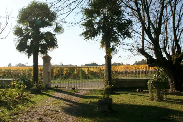 Après les vendanges un matin paisible à Rioublanc