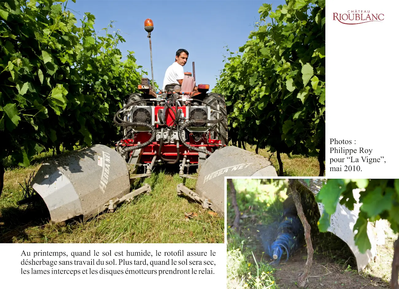 Utilisation du rotofil herbanet sous les rangs de vigne