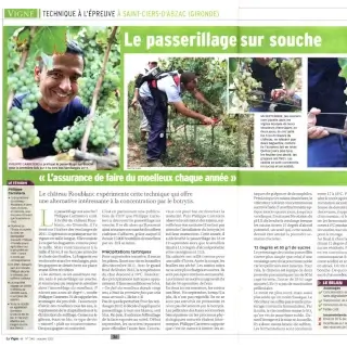 article passerillage sur souche rioublanc