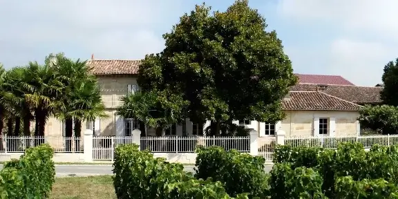 vue château rioublanc et vignes