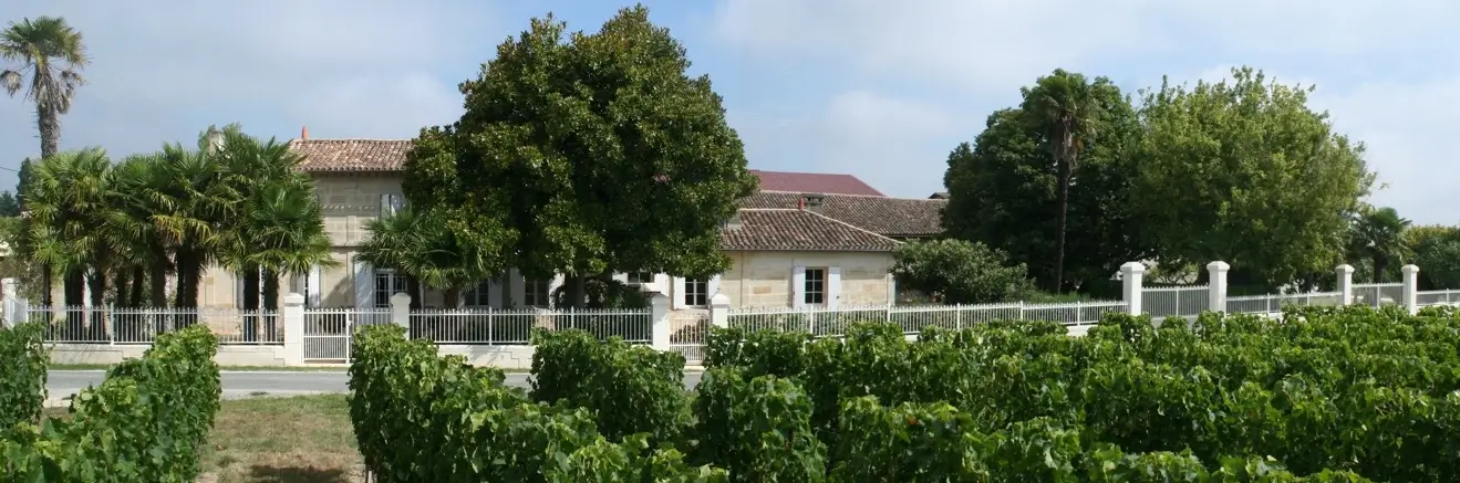 Vue aérienne du vignoble bio du chateau rioublanc